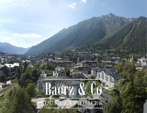 photo 4 Charming 1 Room+Cabin apartment on the top floor of a New Residence