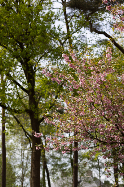 photo 59 Montenspark 1