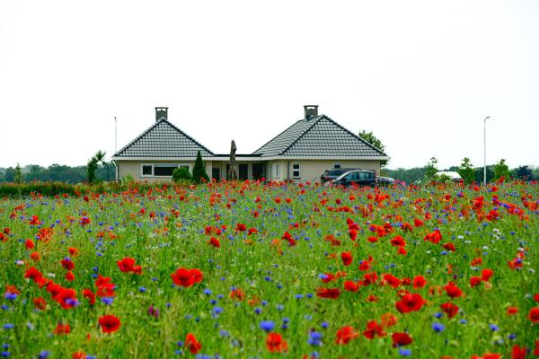 photo 31 Diepenheimseweg 25 a