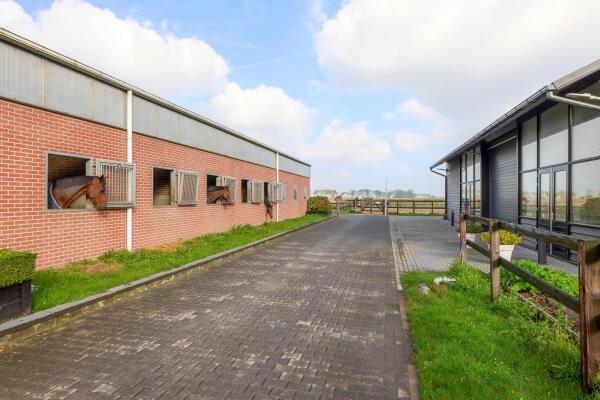 photo 38 Waatselaarstraat 3