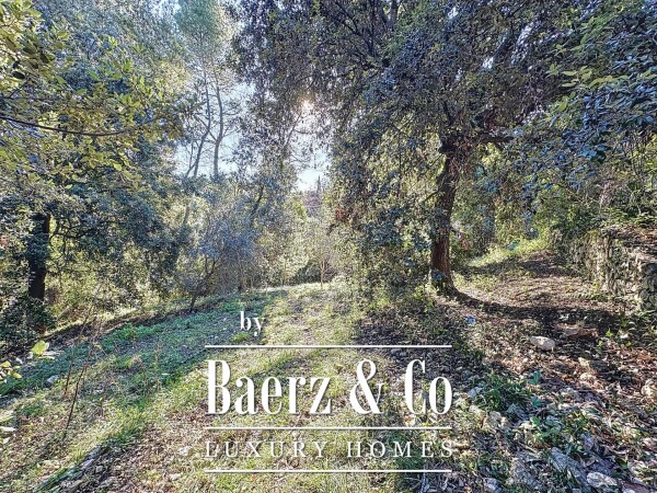 photo 14 Rare Opportunity Near Cannes: Villa to Renovate with Great Potential on a Spacious Green Plot with Pool