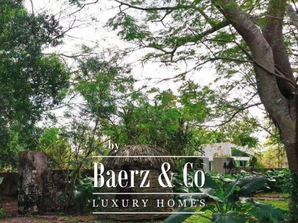 photo 15 Restored Hacienda in Cuzama with a private cenote!