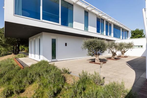 photo 11 Waterlelie 15