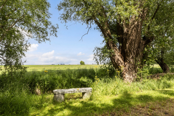 photo 65 Hoofdweg 34