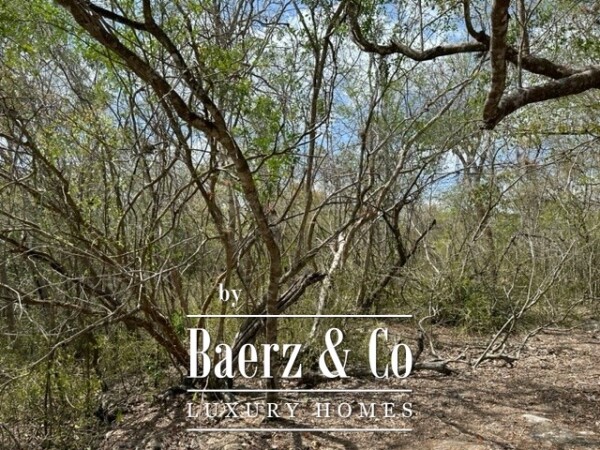 photo 18 Sudzal carretera a Tzalam, Km 7 