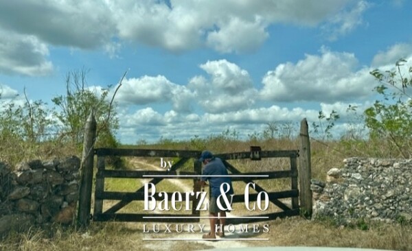 Video Sudzal carretera a Tzalam, Km 7 