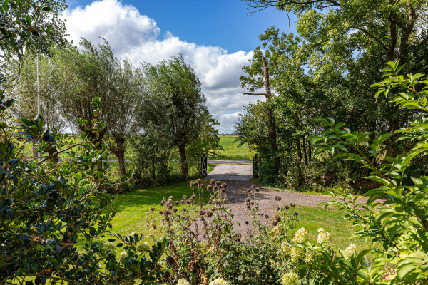 photo 41 Soarremoarre 1