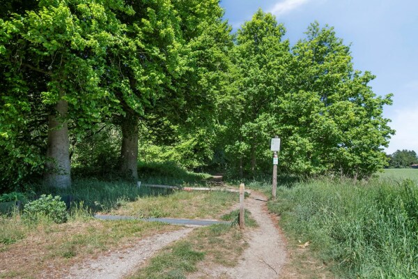 photo 38 De Oude Weg 29