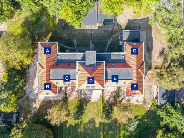 photo 10 Groenelaantje 35 g