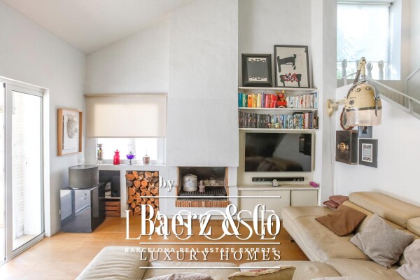 photo 25 Sant Pere de Ribes, Los Viñedos