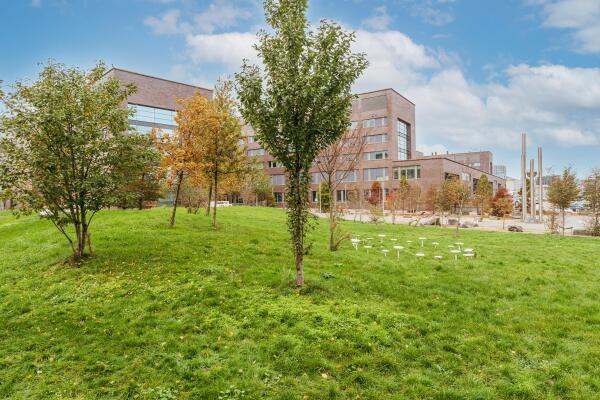 photo 35 Bundlaan 256