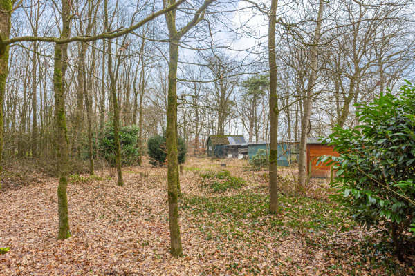 photo 36 Polhaarweg 7