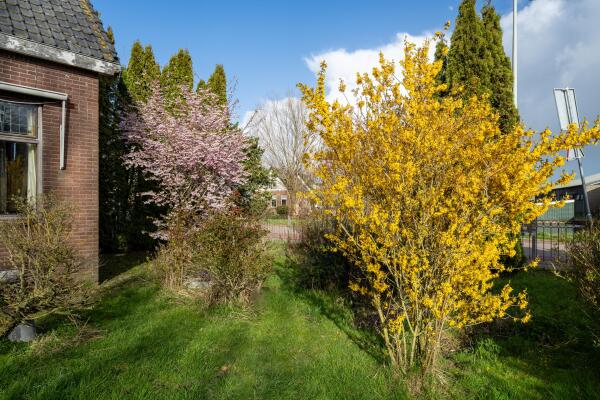 photo 13 Den Ilp 173