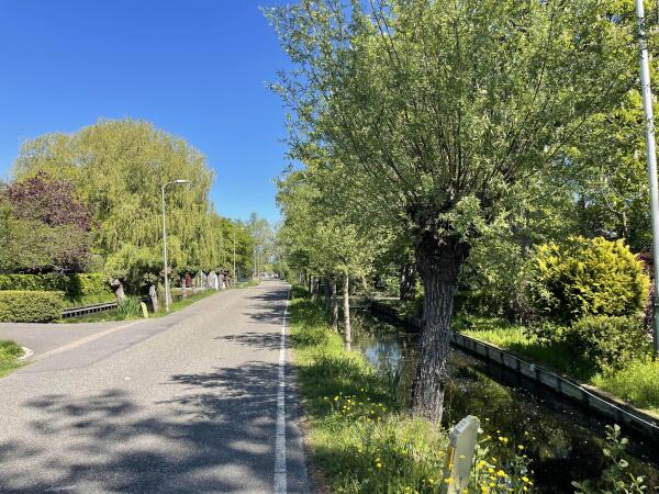 photo 9 's-Gravenweg 178